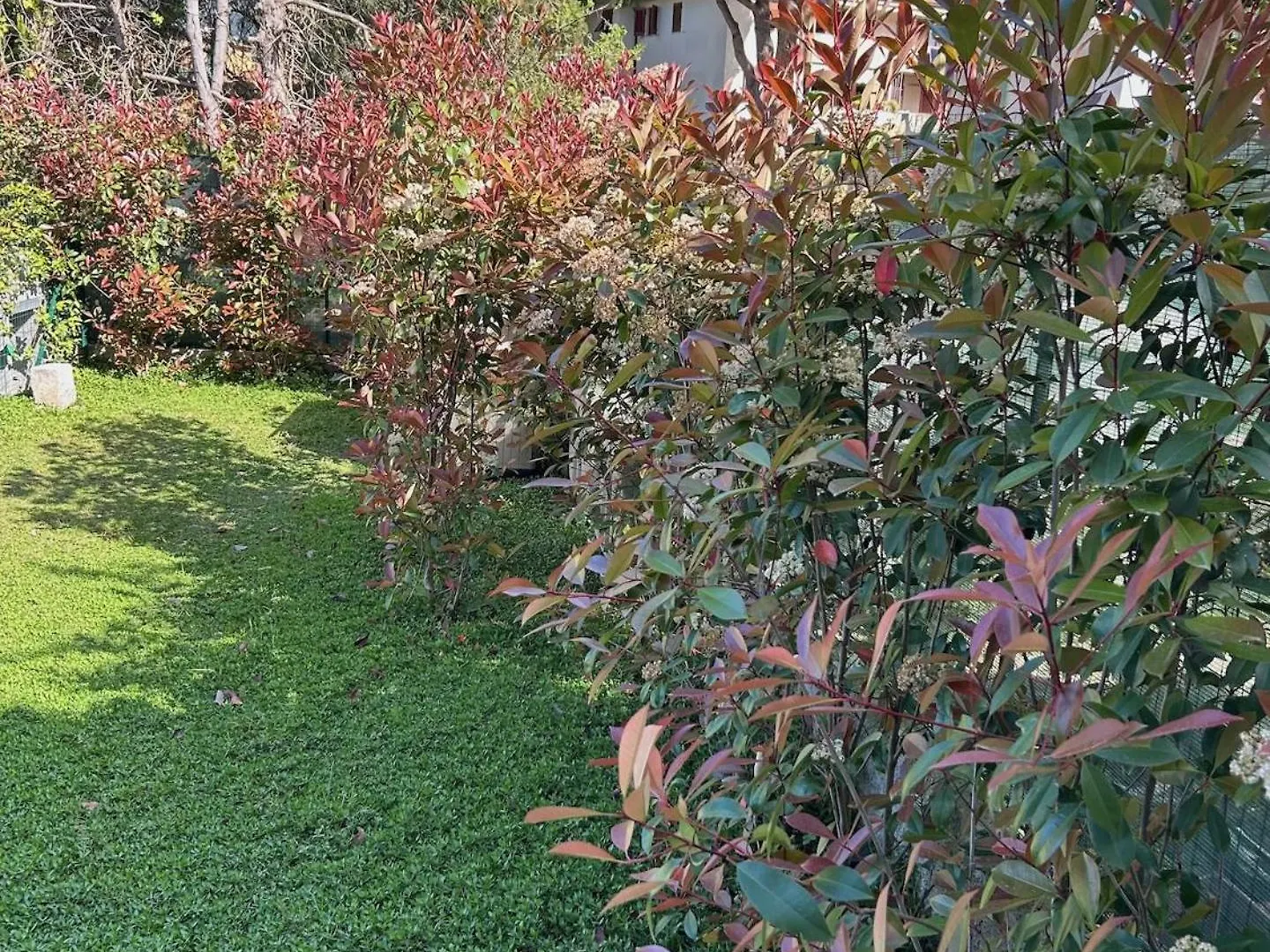 Villa Lavalehouse Marina di Campo