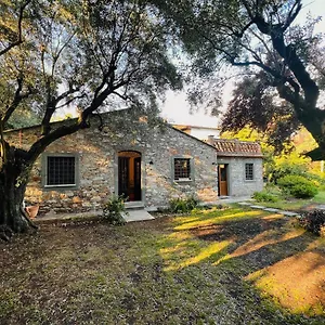 Casa vacanze La Casina Di Susy, Seravezza
