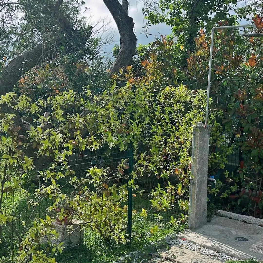Willa Lavalehouse Marina di Campo